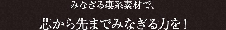 みなぎる凄系素材で、芯から先までみなぎる力を！